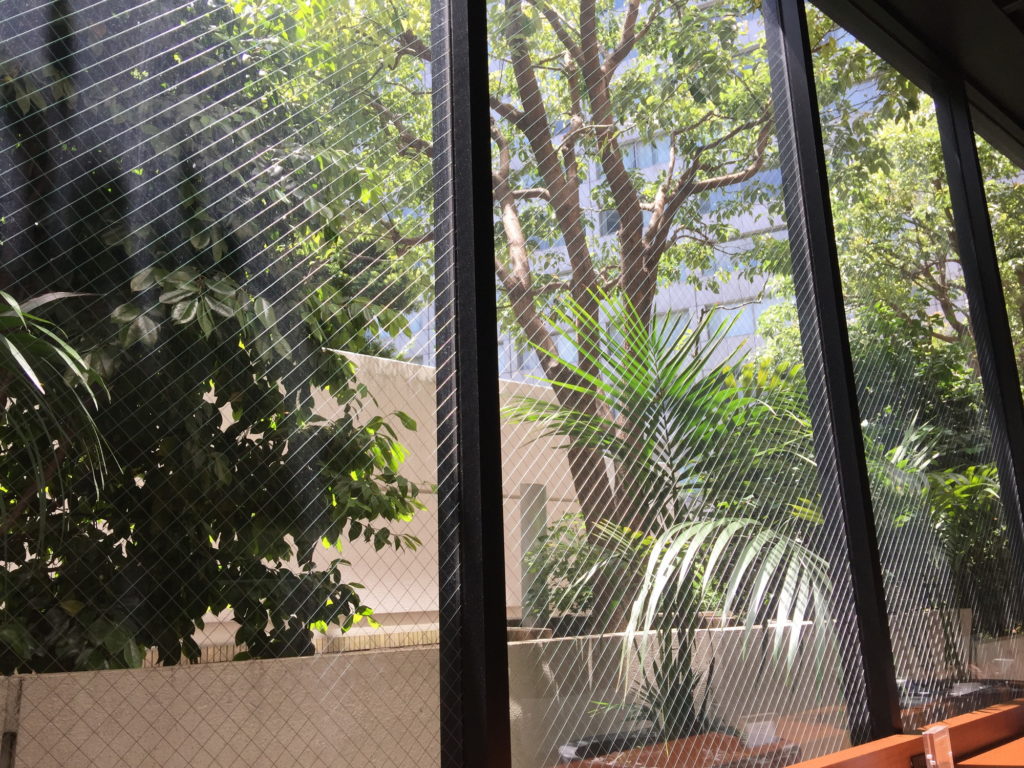 ウニール赤坂店の窓から見える緑