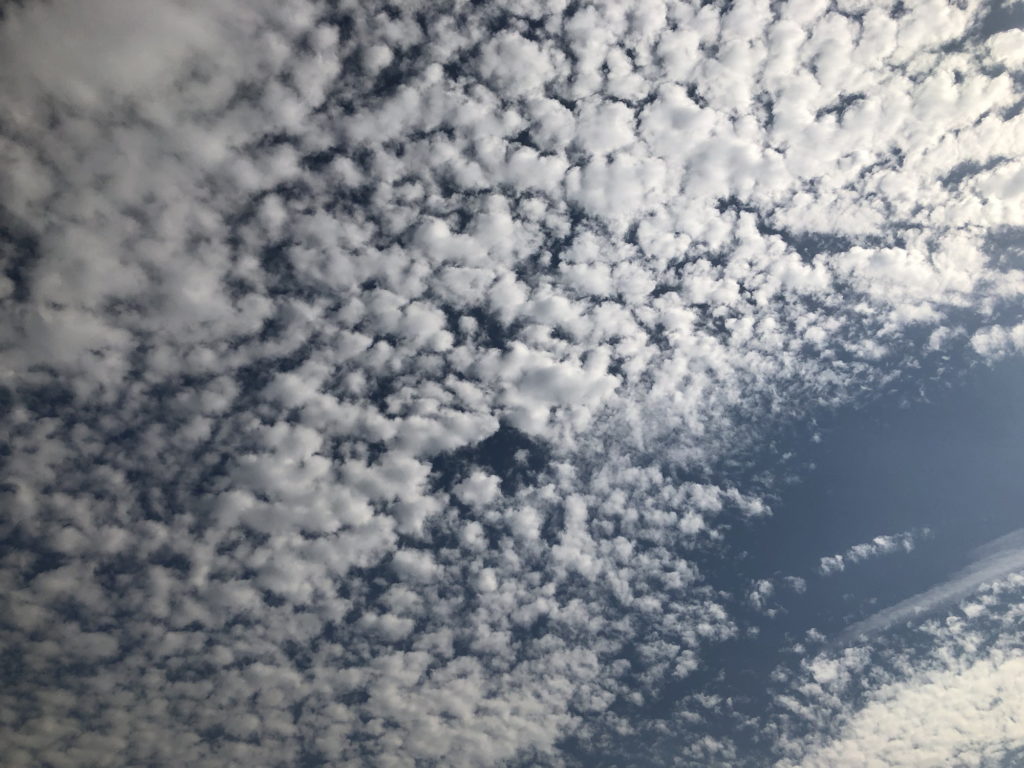 綿菓子みたいな雲が沢山の空