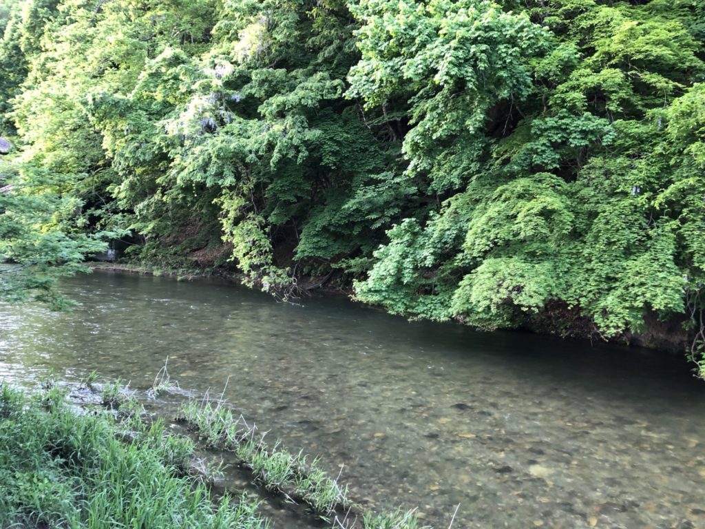 大沢温泉の脇の小川