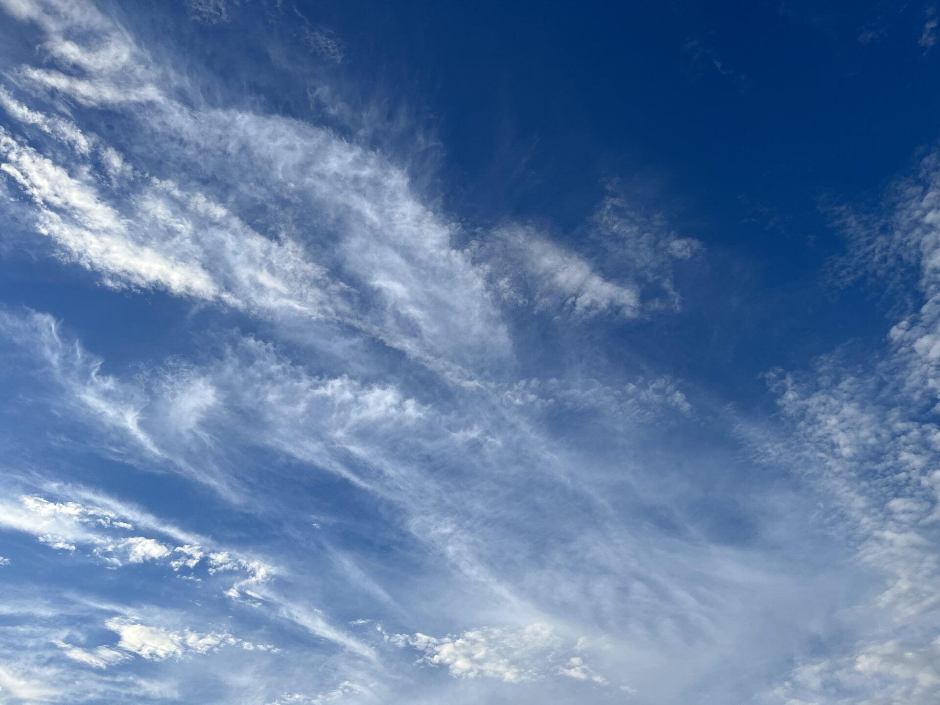 横浜の空