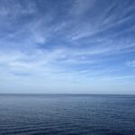 海