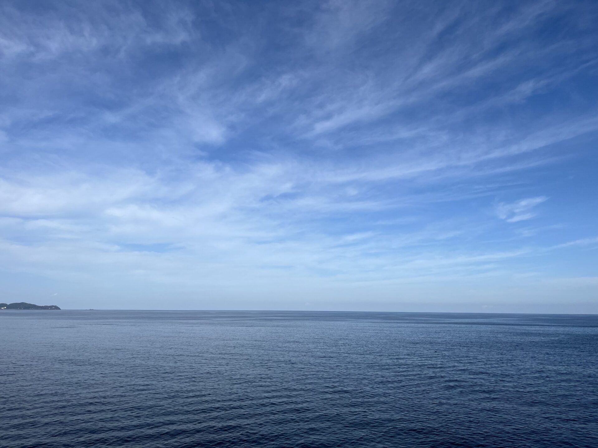 海