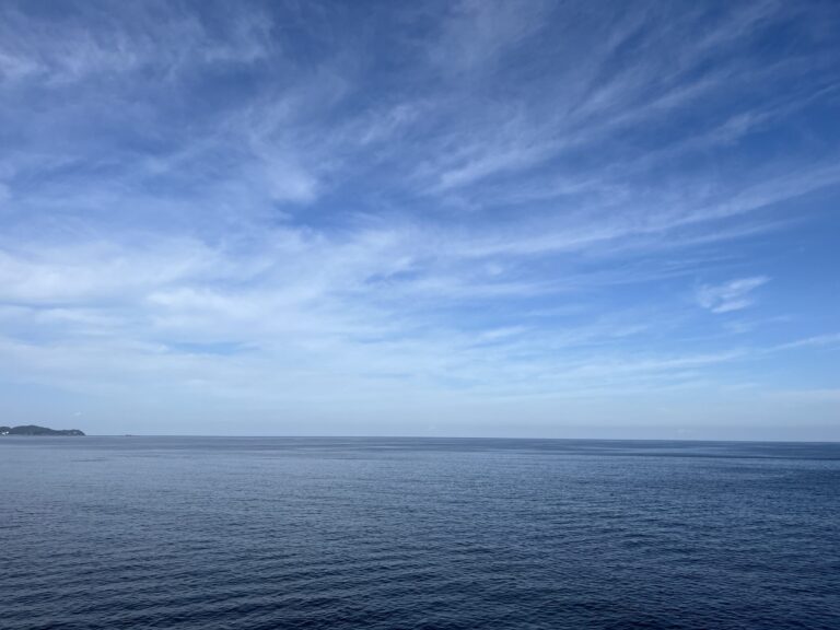 海